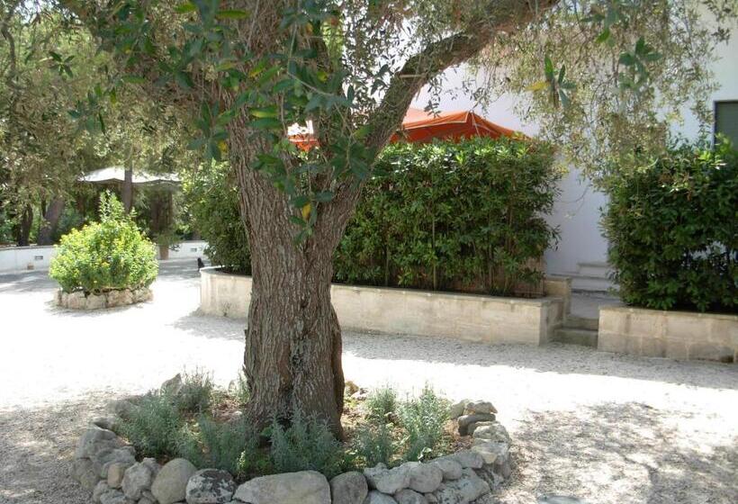 Apartamento 3 Dormitórios, Tenuta Belvedere