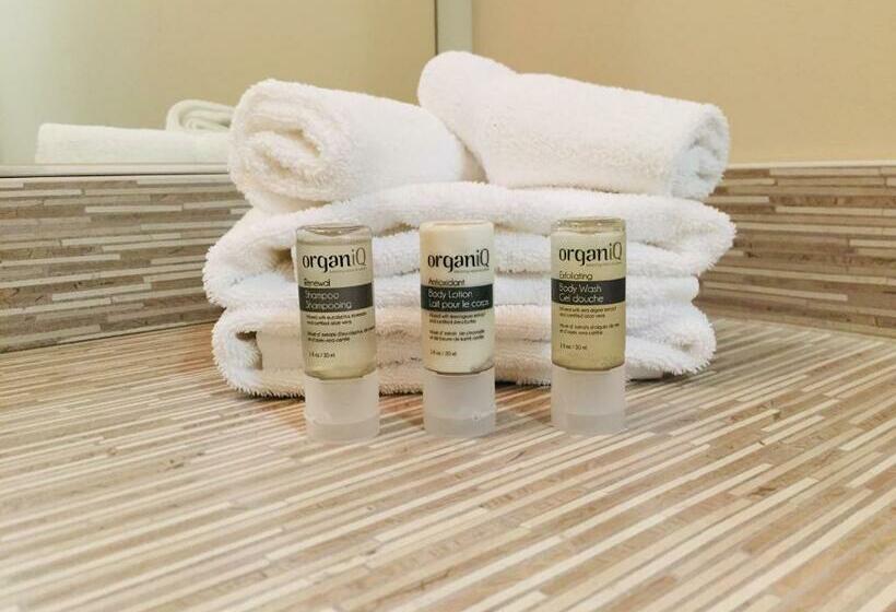 スタンダードルーム, Chateau Arnaud