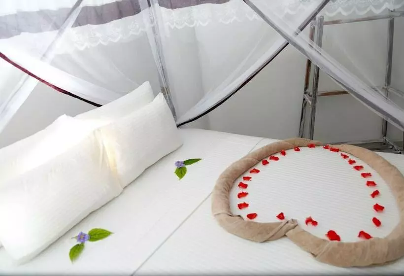 キャビン, Neptune Weligama Hostel