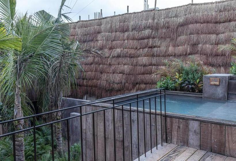 اتاق پرمیوم, Nomade Tulum