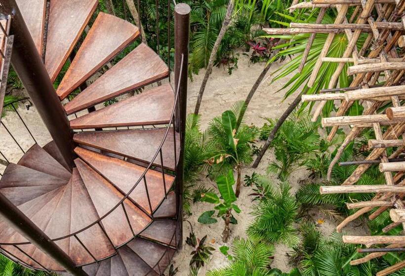 اتاق استاندارد, Nomade Tulum