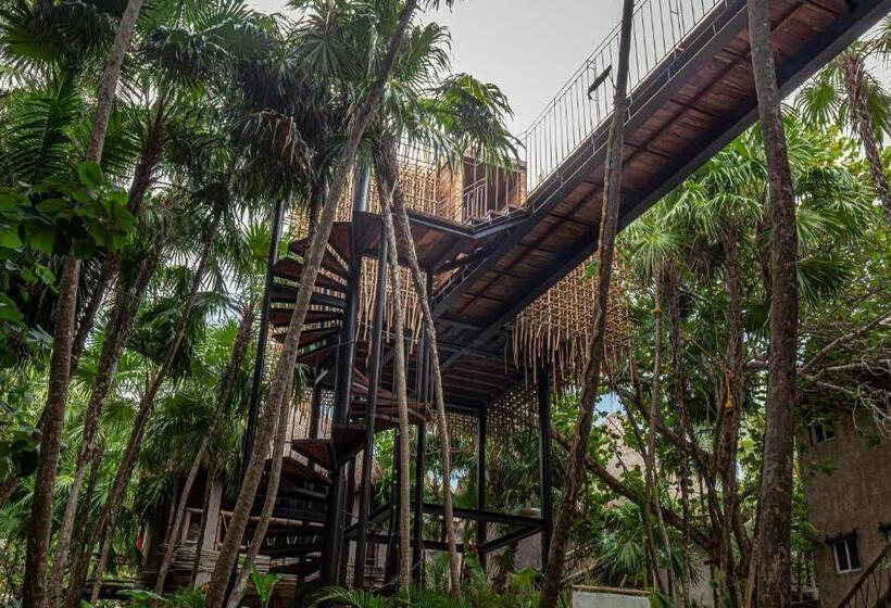 Quarto Estandar, Nomade Tulum