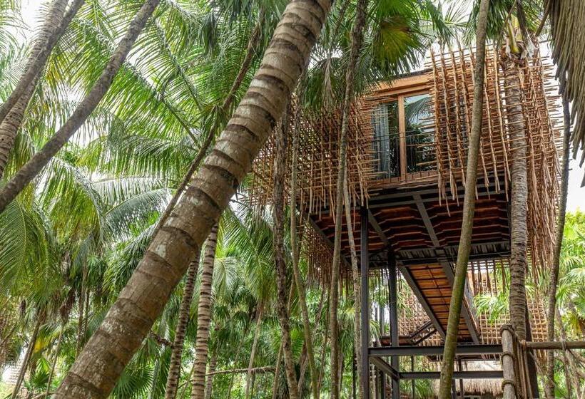 اتاق استاندارد, Nomade Tulum