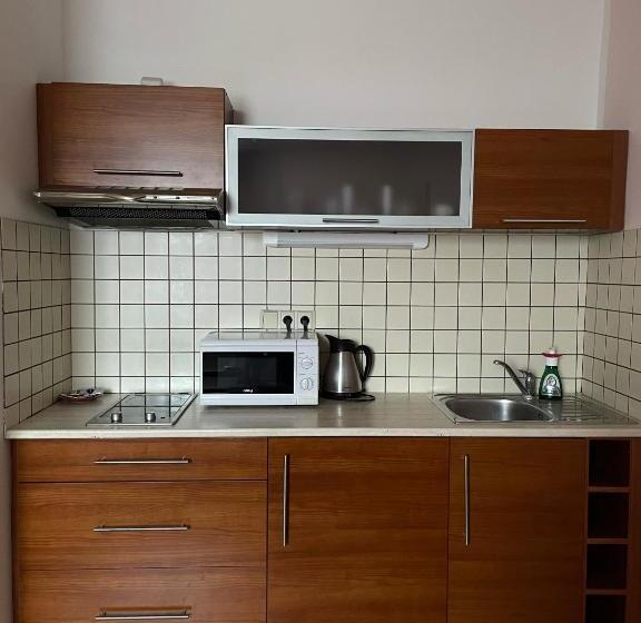 1ベッドルームアパートメント, Ostrov Garni