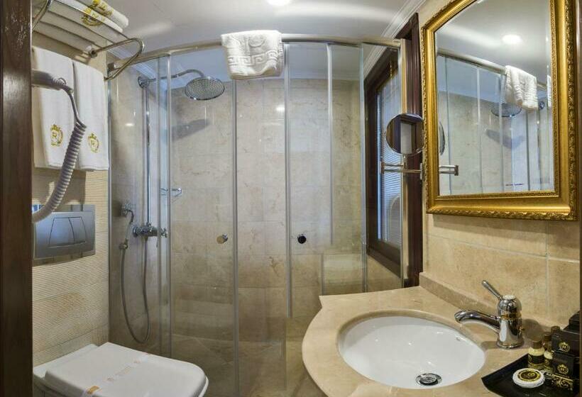 اتاق اکونومی, The Central Hotel