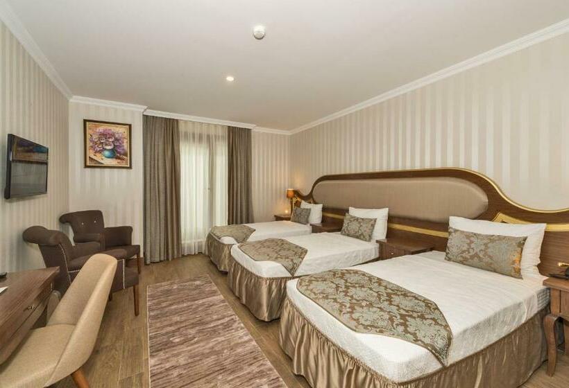 اتاق استاندارد سه نفره, The Central Hotel