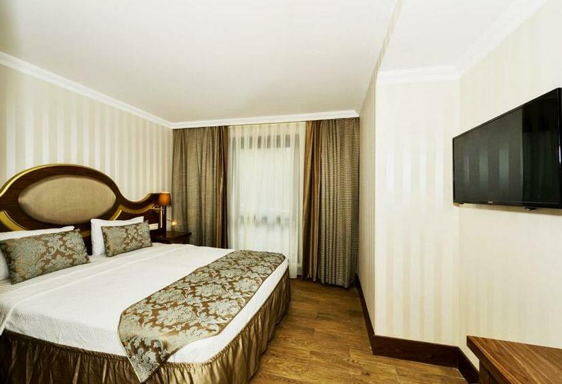 اتاق استاندارد, The Central Hotel