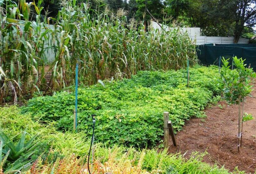 חדר סטנדרט, Blackheath Manor Guest House