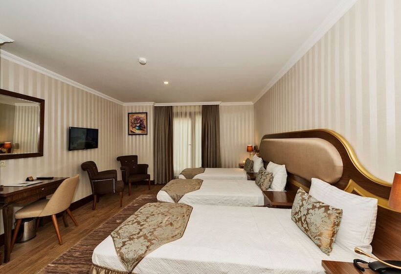 اتاق استاندارد سه نفره, The Central Hotel