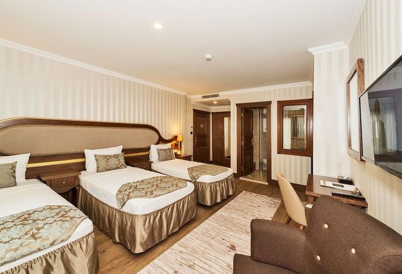 اتاق استاندارد سه نفره, The Central Hotel