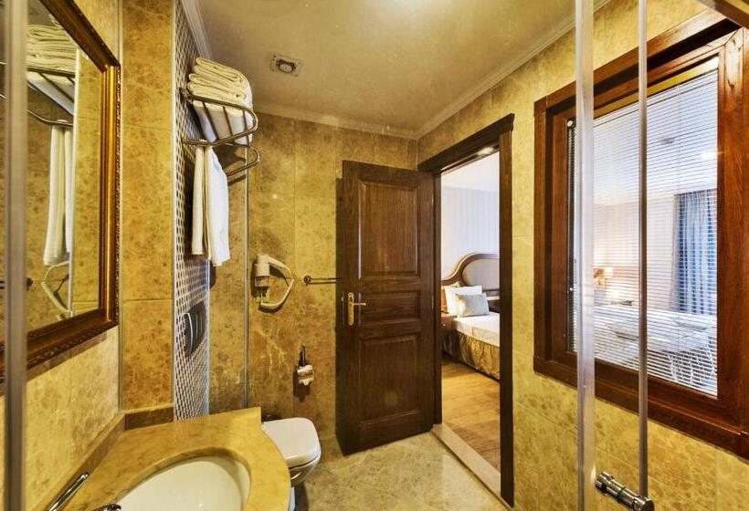 اتاق استاندارد, The Central Hotel