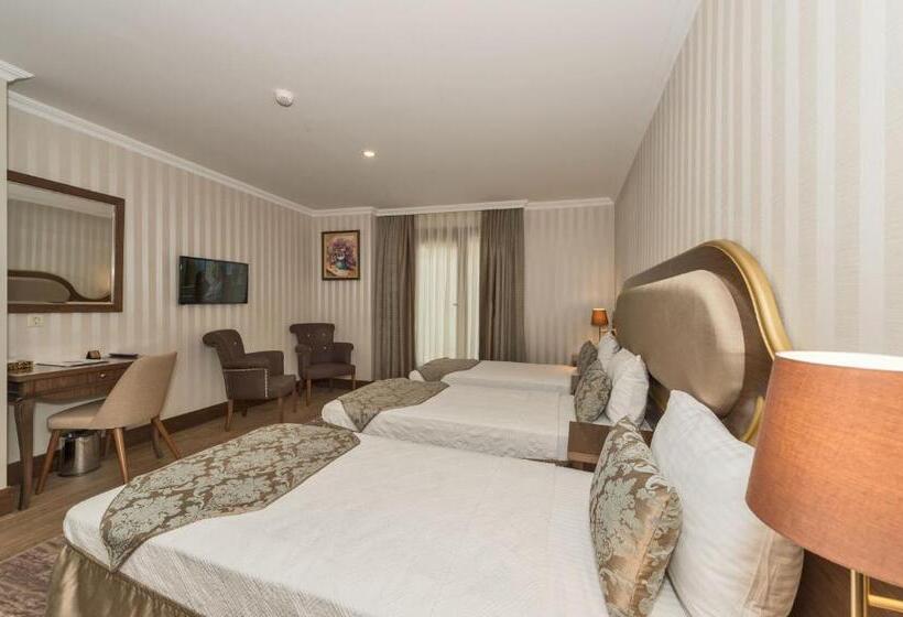 اتاق استاندارد سه نفره, The Central Hotel