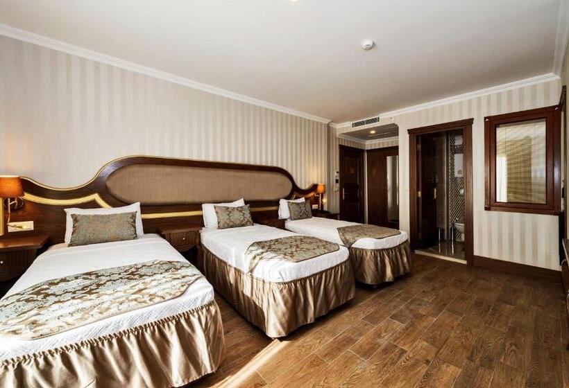 اتاق استاندارد سه نفره, The Central Hotel