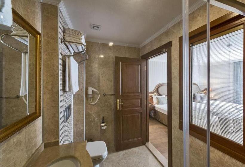 اتاق استاندارد سه نفره, The Central Hotel