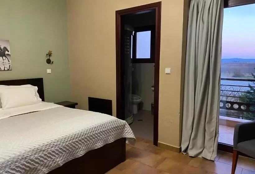 マウンテンビュースタンダードルーム, Gea Kaimaktsalan Hotel & Spa