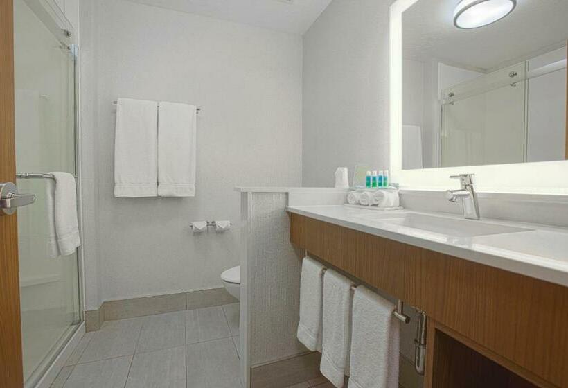 سوئیت با تخت بزرگ, Holiday Inn Express & Suites Boise Airport, An Ihg