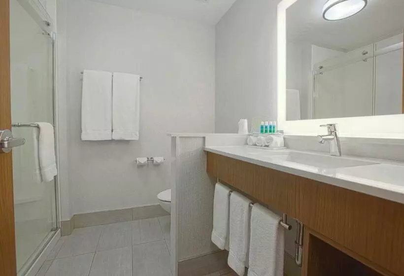 スタンダードルーム, Holiday Inn Express & Suites Boise Airport, An Ihg