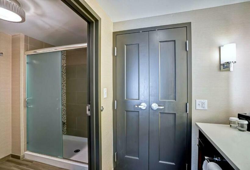 디럭스 스위트 킹 침대, Homewood Suites By Hilton Boston Brooklinelongwood Medical
