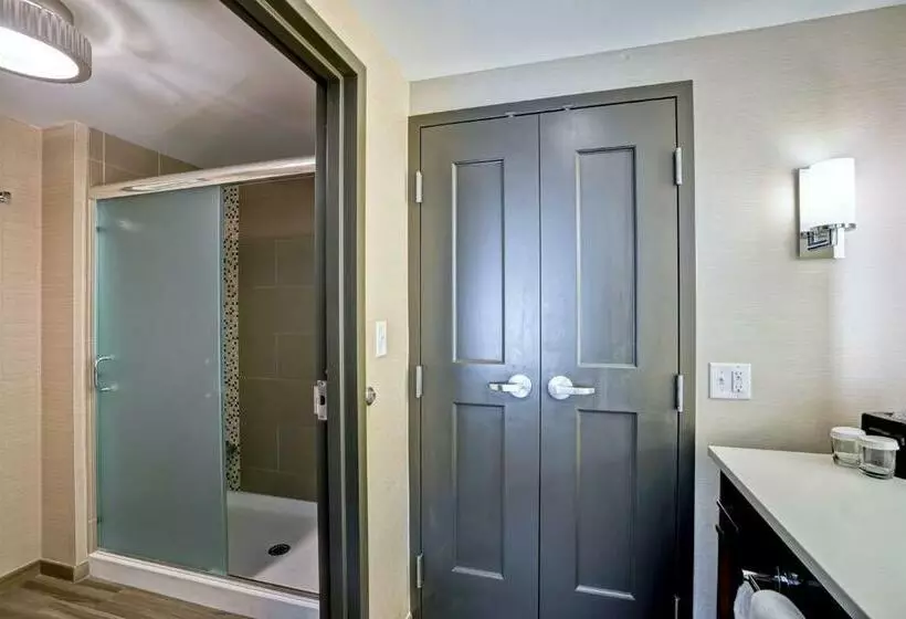 キングサイズベッドのデラックススイート, Homewood Suites By Hilton Boston Brooklinelongwood Medical