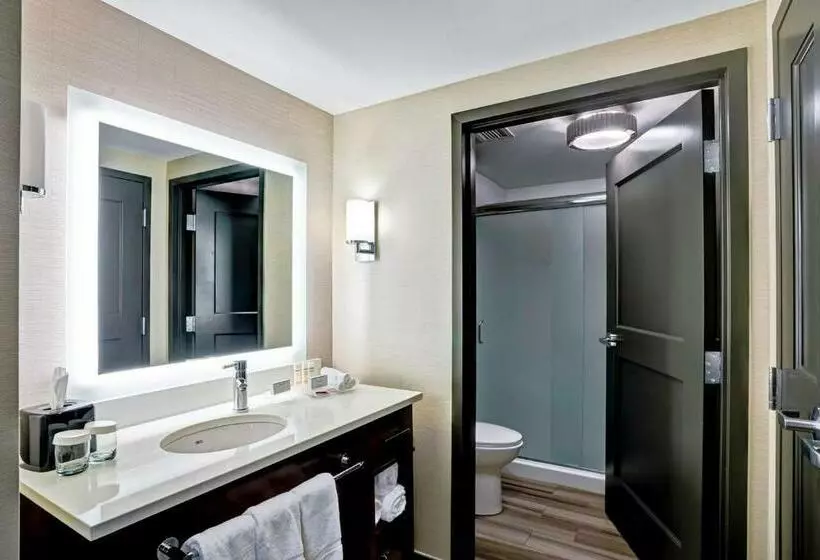 キングサイズベッドのデラックススイート, Homewood Suites By Hilton Boston Brooklinelongwood Medical