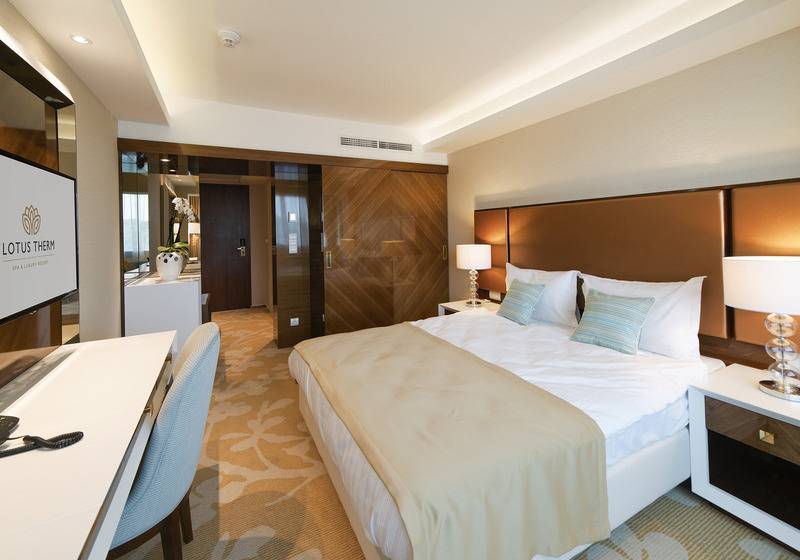 스탠다드 싱글 룸, Lotus Therm Spa&luxury Resort