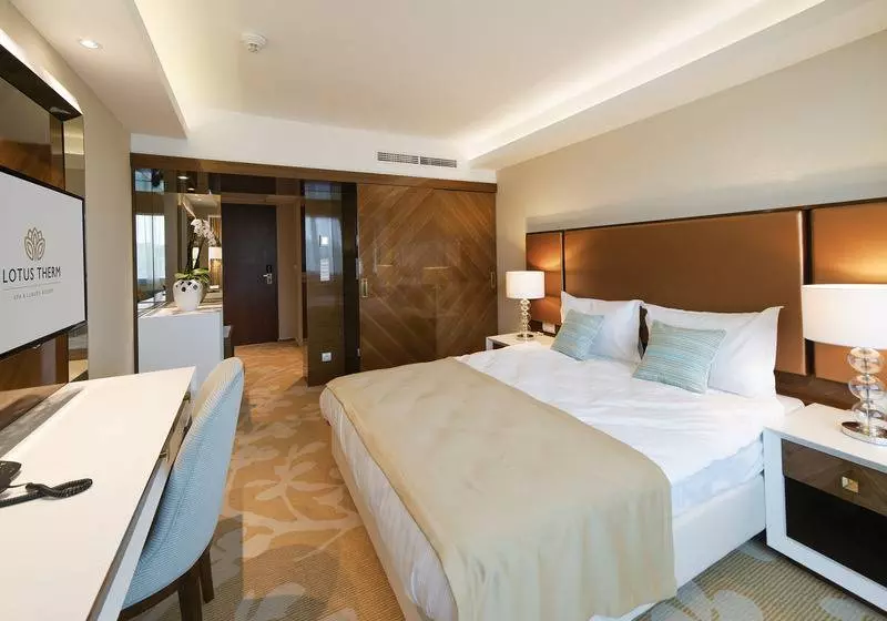 Standard Yhden Hengen Huone, Lotus Therm Spa&luxury Resort