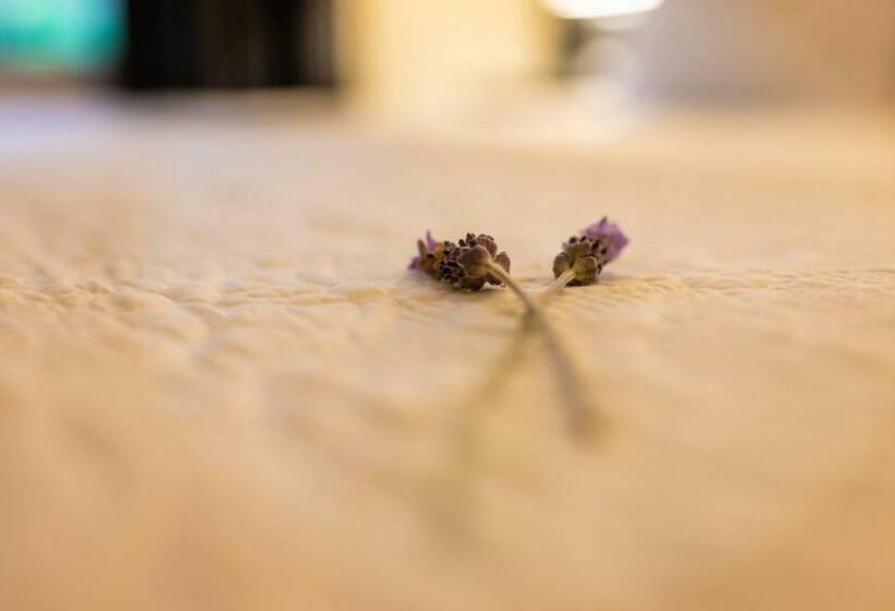 חדר סטנדרט עם מיטת קינג, Margaret River Guest House