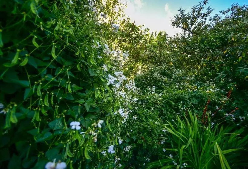 スーペリアースイート, Margaret River Guest House