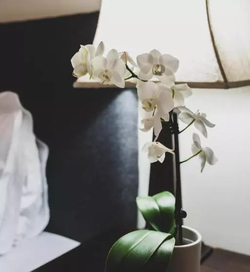 キングサイズベッドのスタンダードルーム, Margaret River Guest House