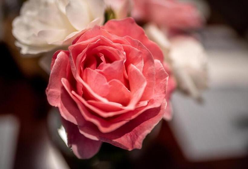 חדר סטנדרט עם מיטת קינג, Margaret River Guest House