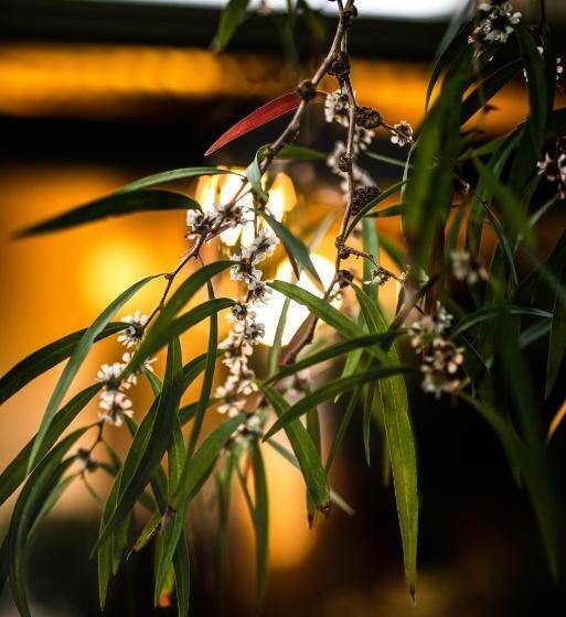 חדר סטנדרט, Margaret River Guest House