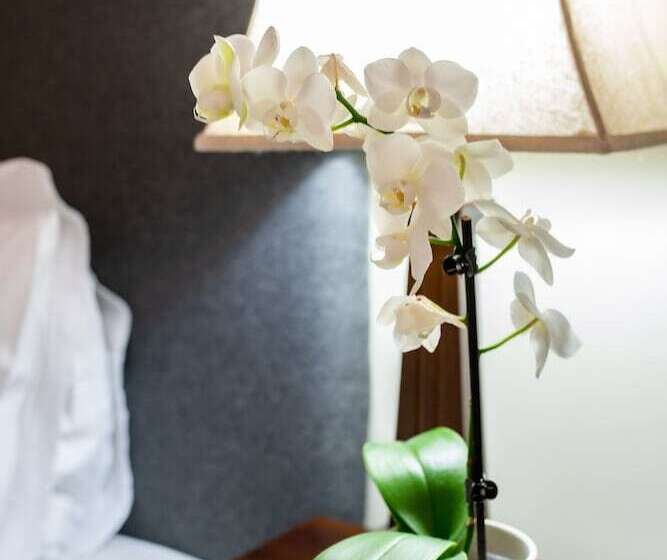 חדר סטנדרט, Margaret River Guest House