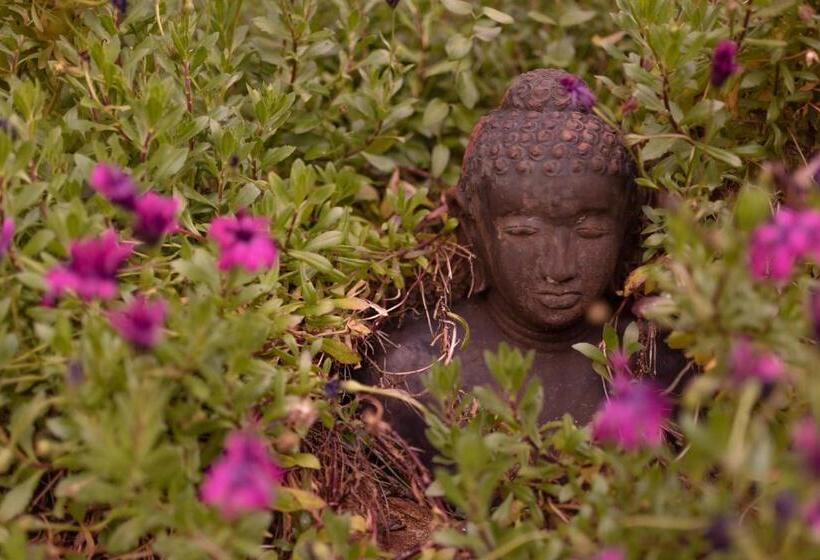 חדר סטנדרט עם מיטת קינג, Margaret River Guest House