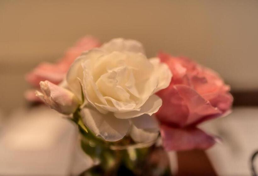 חדר סטנדרט עם מיטת קינג, Margaret River Guest House