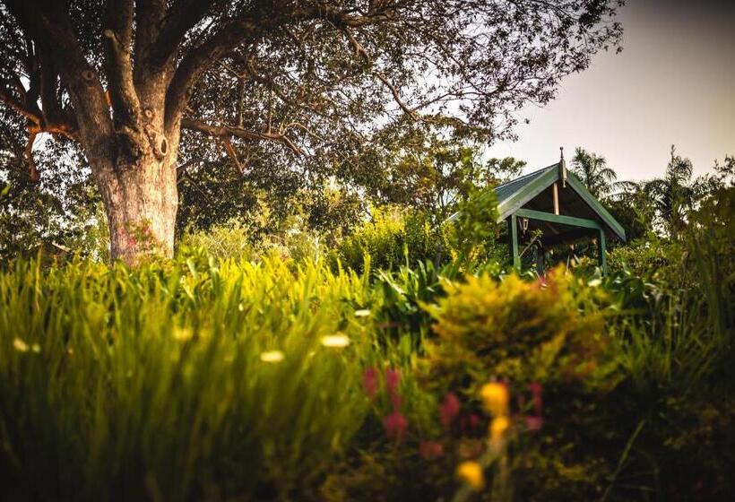 스탠다드 룸 킹사이즈 침대, Margaret River Guest House