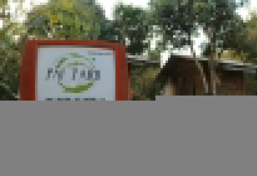 스탠다드 룸 산 전망, Pai Yard Guest House