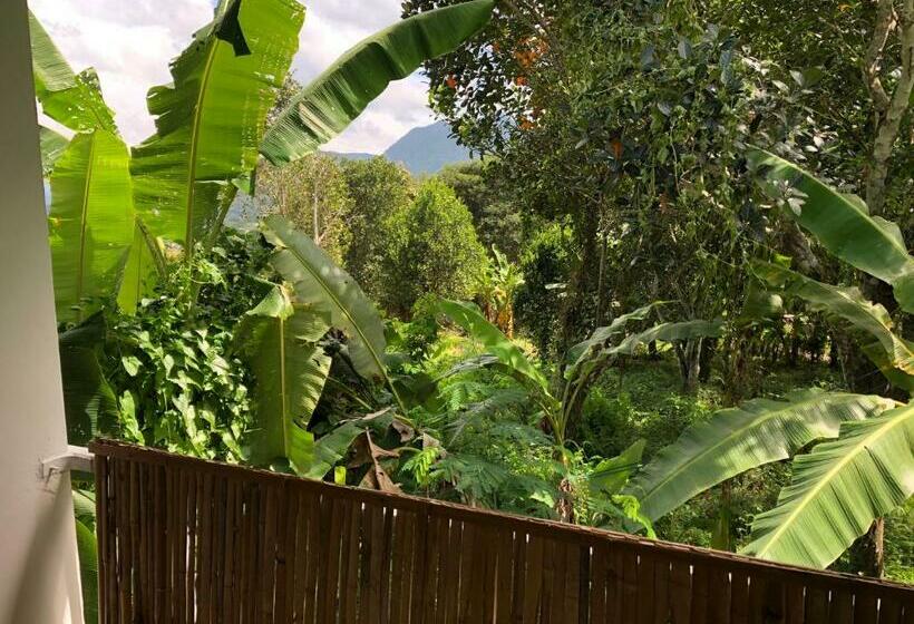 스탠다드 룸 산 전망, Pai Yard Guest House