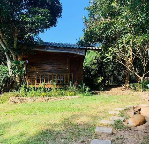 스탠다드 방갈로 정원 전망, Pai Yard Guest House