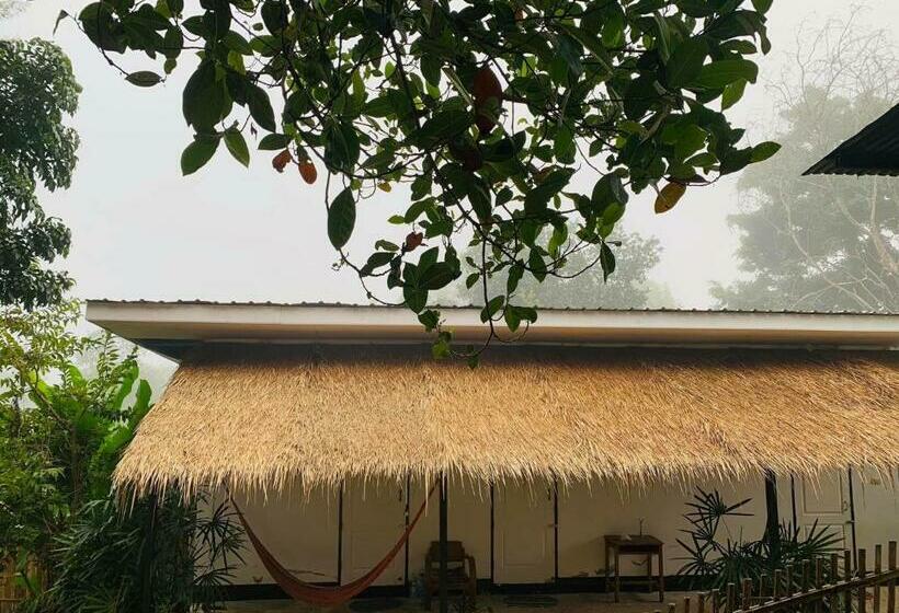 스탠다드 룸 산 전망, Pai Yard Guest House