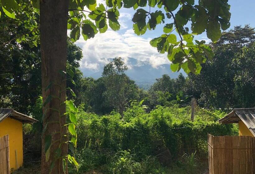 스탠다드 방갈로, Pai Yard Guest House