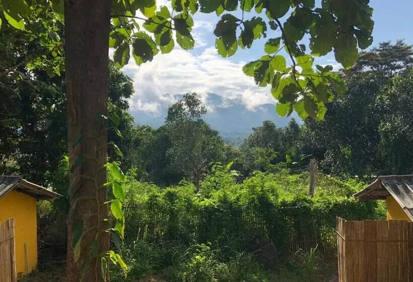 بانگلوی استاندارد, Pai Yard Guest House