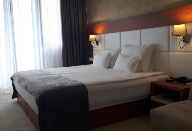 수피리어 룸, Porto In