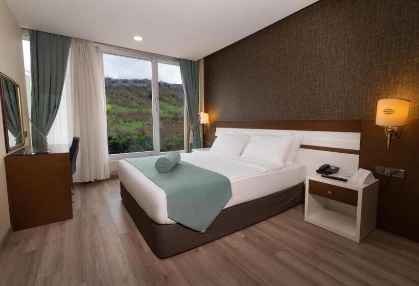 Manzaralı Standart Oda, Tilya Resort