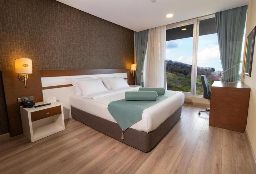 Manzaralı Standart Oda, Tilya Resort