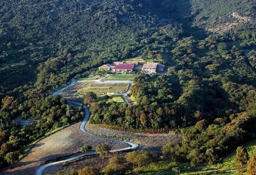 家庭套房, L Isola Di Rosa   Relais & Hotel Di Charme