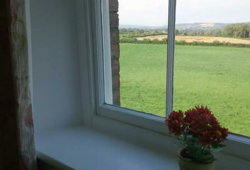 スイート, Upper Letton Farmhouse