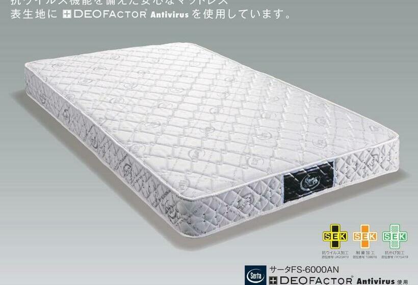 带双人床的基本房间, Central Hotel Okayama