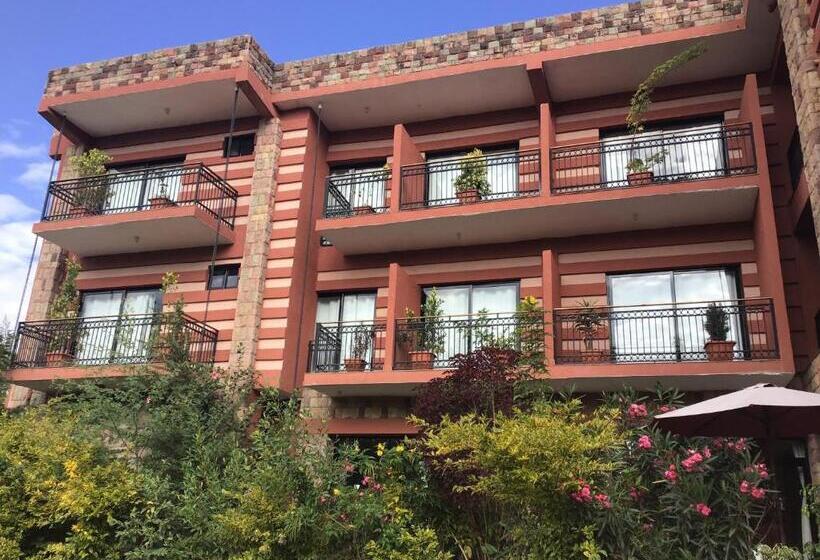 اتاق استاندارد یک نفره, Harbe