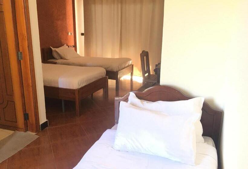 اتاق استاندارد یک نفره, Harbe