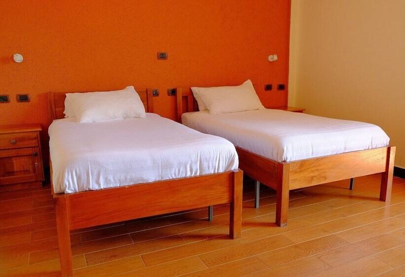 اتاق استاندارد یک نفره, Harbe